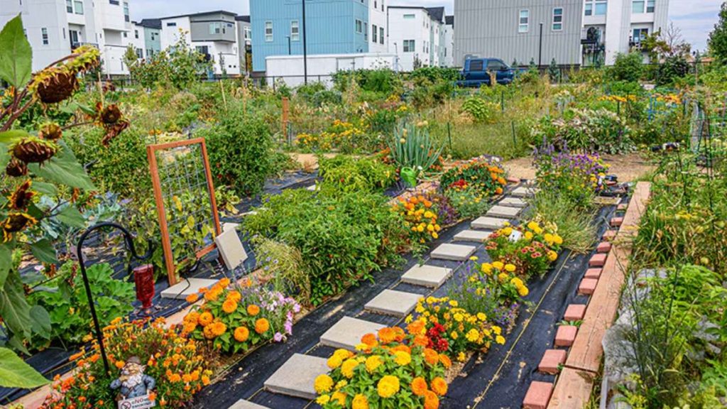 Community Garden