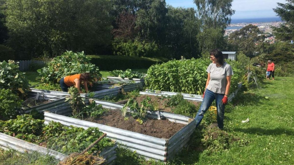 Community Garden