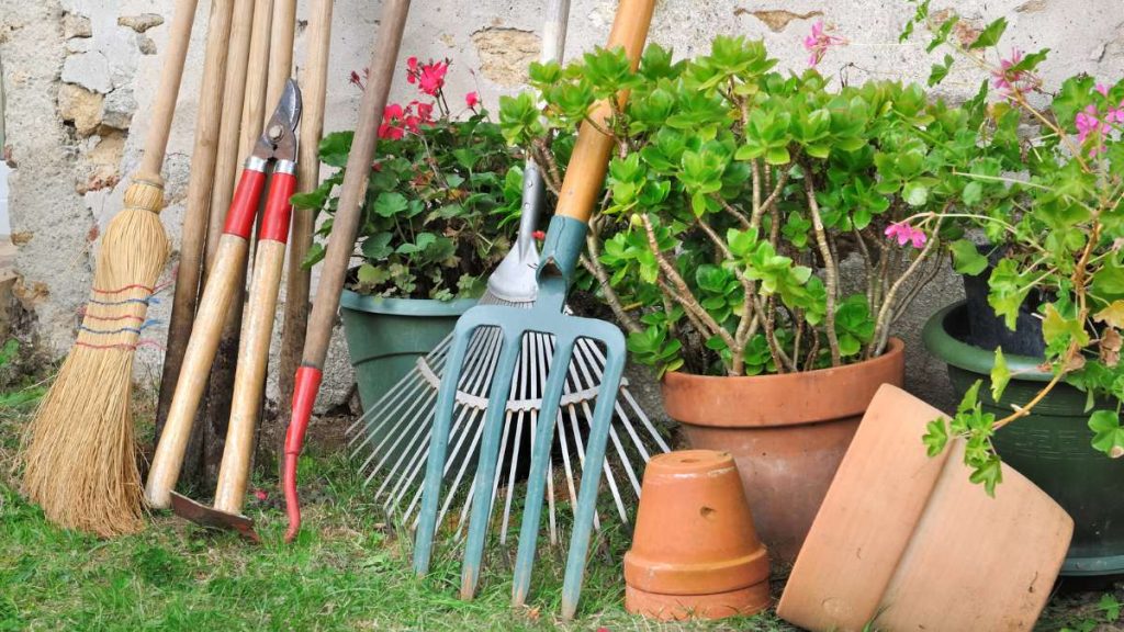 Garden Maintenance