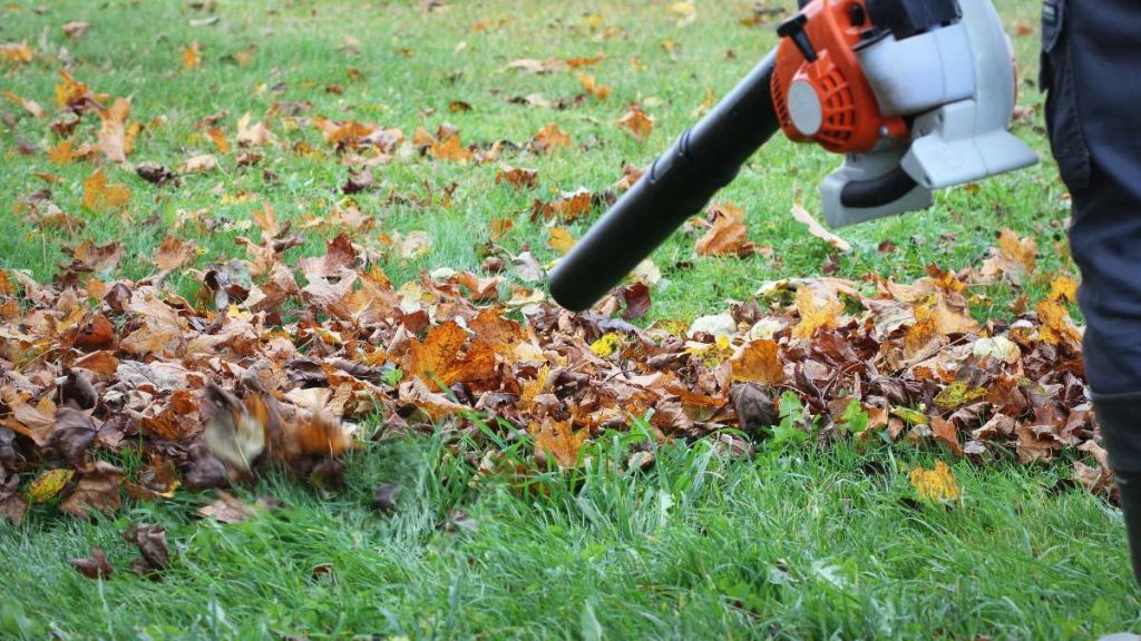 Garden Maintenance