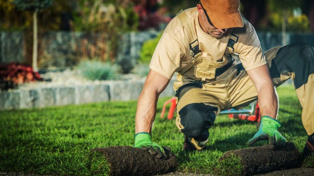 Gardening and Landscaping Companies in the USA 1