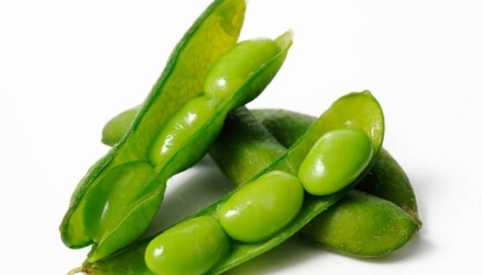 Edamame (Young Soybeans)